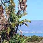Phat Joe\'S B&B